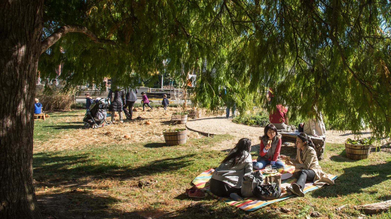 Een plek op de vrijmarkt: regels, kleedjes en tijden